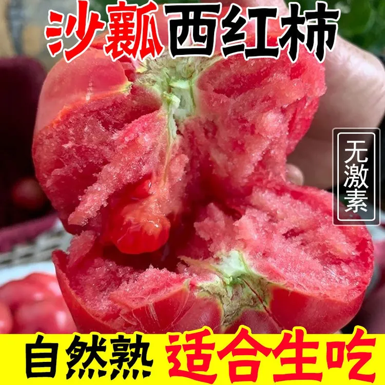 【树上熟】严选云南沙瓤西红柿3/5斤新鲜大番茄水果西红柿露天种植A