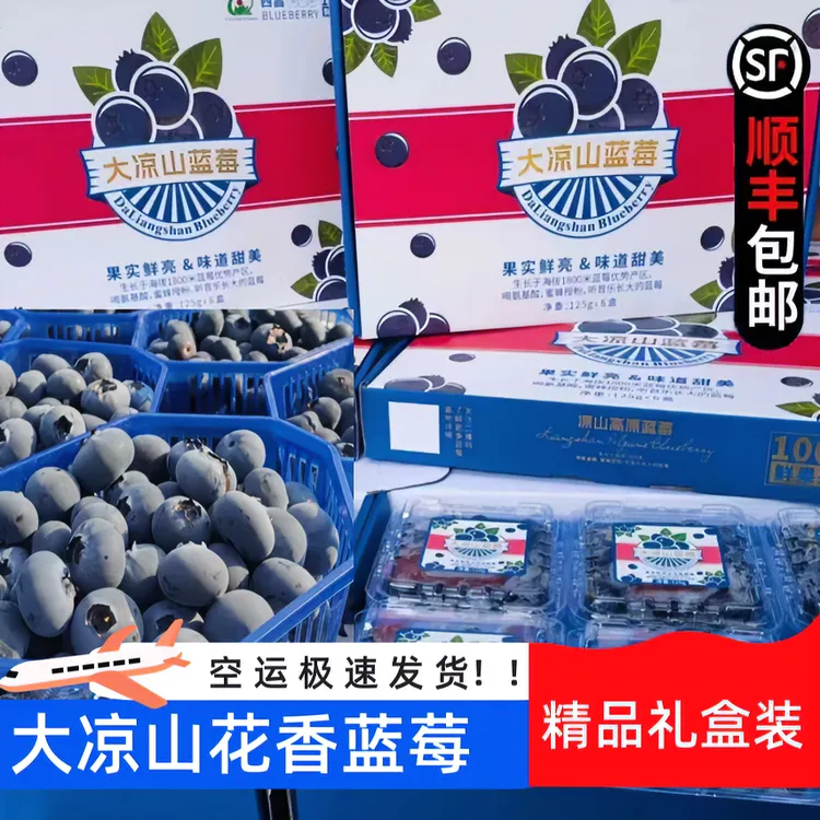 【顺丰空运包邮】大凉山花香蓝莓礼盒装