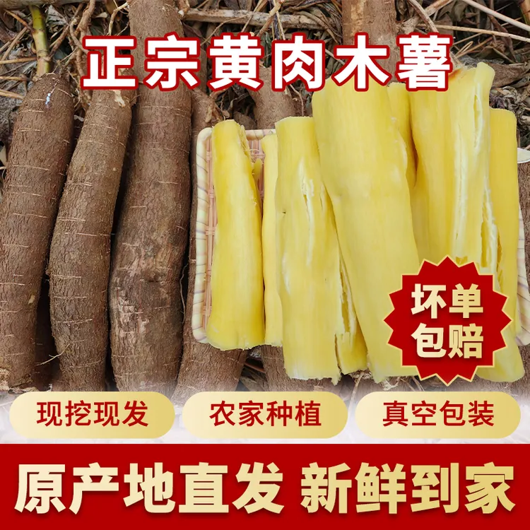 广西黄心木薯木薯糖水木薯新鲜软糯香甜肉质饱满现挖现发