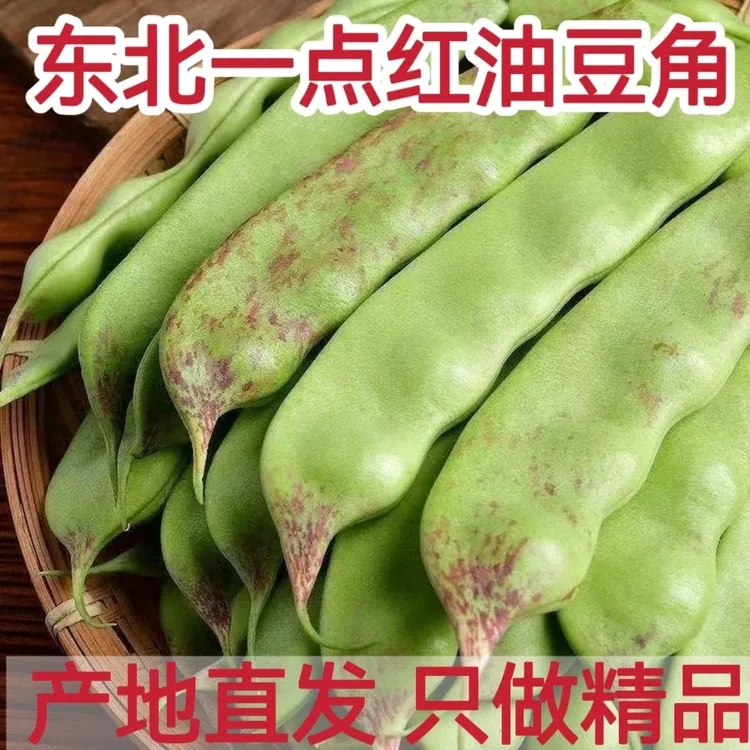 【精选】东北一点红油豆角九月青新鲜蔬菜面豆角开锅烂豆角现摘顺