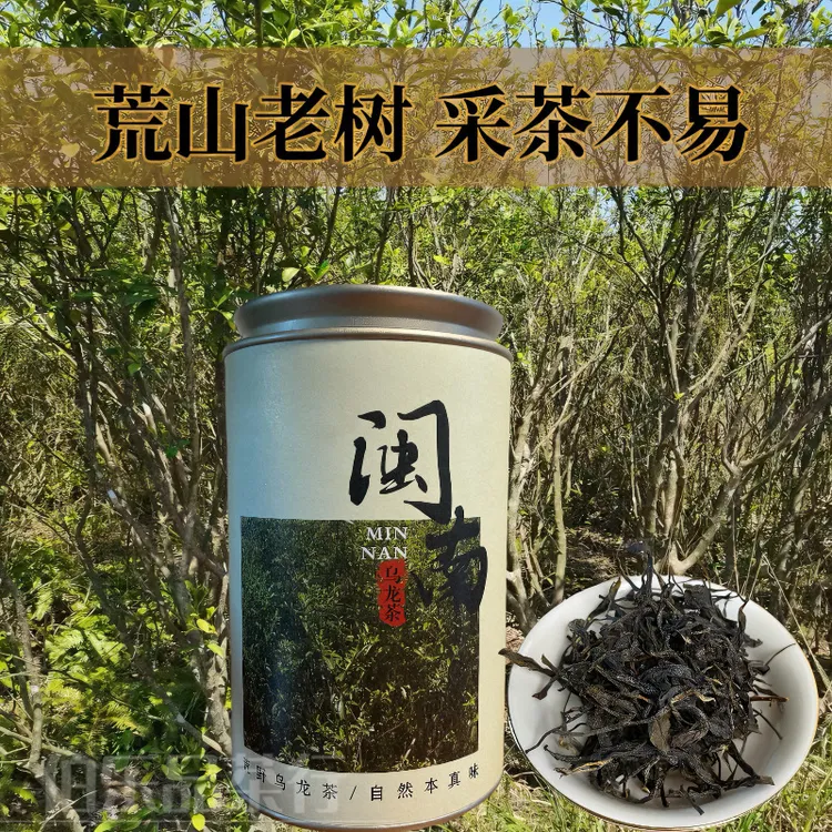 伯乐品-传统风味闽南乌龙花香果香高山嫩采乌龙茶