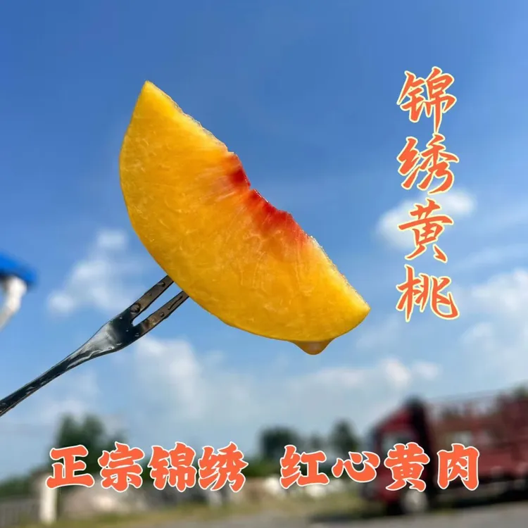 【顺丰包邮】湖北锦绣黄桃黄肉红心桃新鲜采摘水果产地5斤9斤包邮