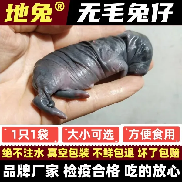 地兔新鲜乳兔小兔崽小兔仔小奶兔猫咪狗子蛇蛙生鲜零食烧烤食材料