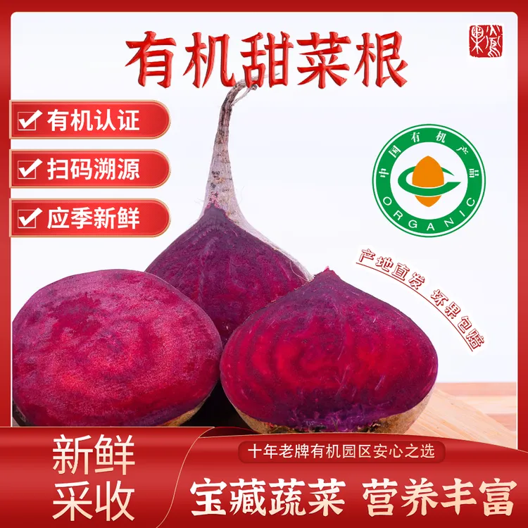 新鲜有机甜菜根紫菜头红菜头火焰菜营养丰富宝藏蔬菜4.5斤4 斤3斤