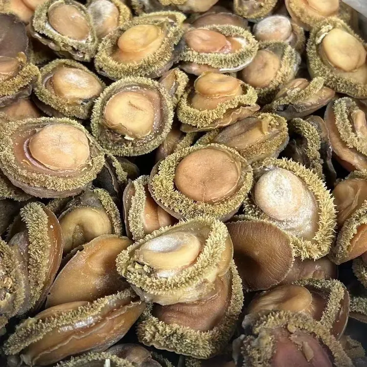 泳江海味 黄金吉品鲍鱼干