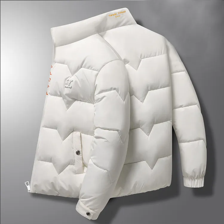 欧货轻奢高端冬季新款男士韩版时尚立领简约休闲加厚保暖棉服外套