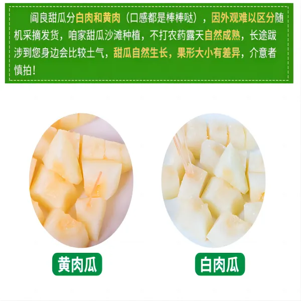 正宗陕西阎良甜瓜  红肉白肉随机 发头茬精品大果应季新鲜水果