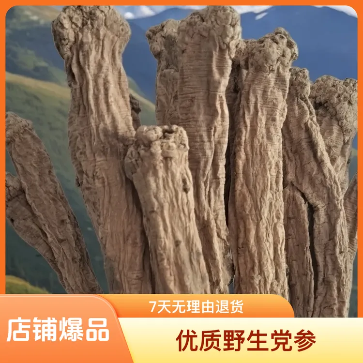 高原正品，优质野生党参 ，党参段