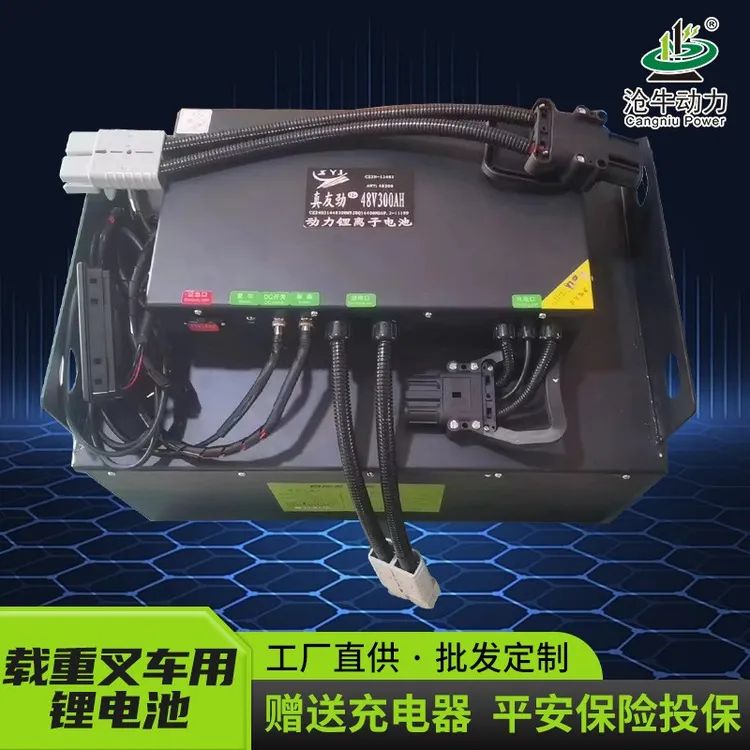 叉车搬运车锂电池定制电动铲车高空作业车优质磷酸铁锂CAN485通讯