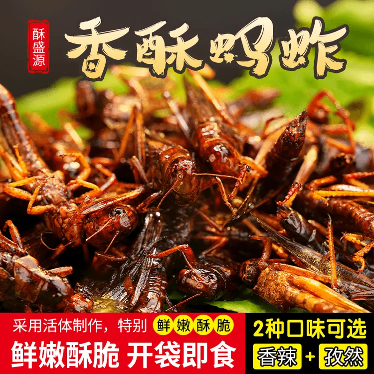 油炸蚂蚱香辣麻辣新鲜蝗虫鲜香美味精选丰富纯正特色小吃即食零食