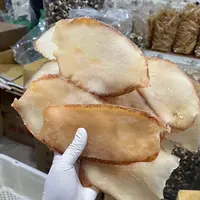响螺片里的天花板 响螺花胶汤海底椰汤 平民鲍鱼 珠海发货