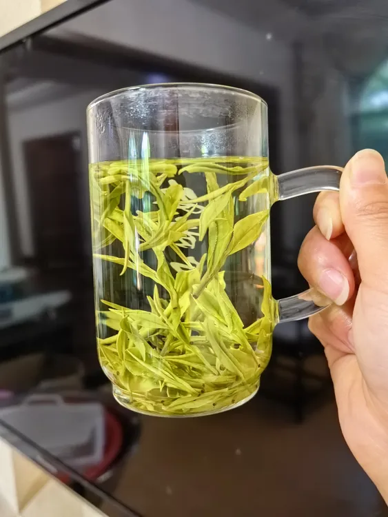 2024安吉白茶绿茶新茶口感好实惠口粮茶