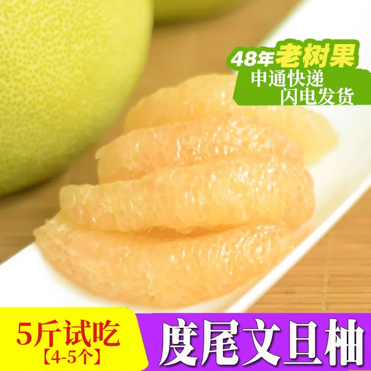 正宗福建仙游度尾文旦柚子精选48年老树新鲜时令水果5斤试吃装