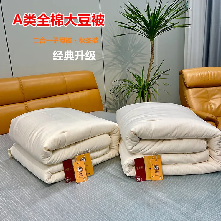 全棉大豆被加厚冬被二合一子母被秋冬被双人被芯单人学生被春秋被