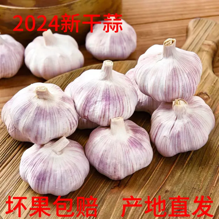 【农家大蒜】农家5斤新干大蒜可种新鲜干大蒜头紫白皮大蒜1斤3斤9斤