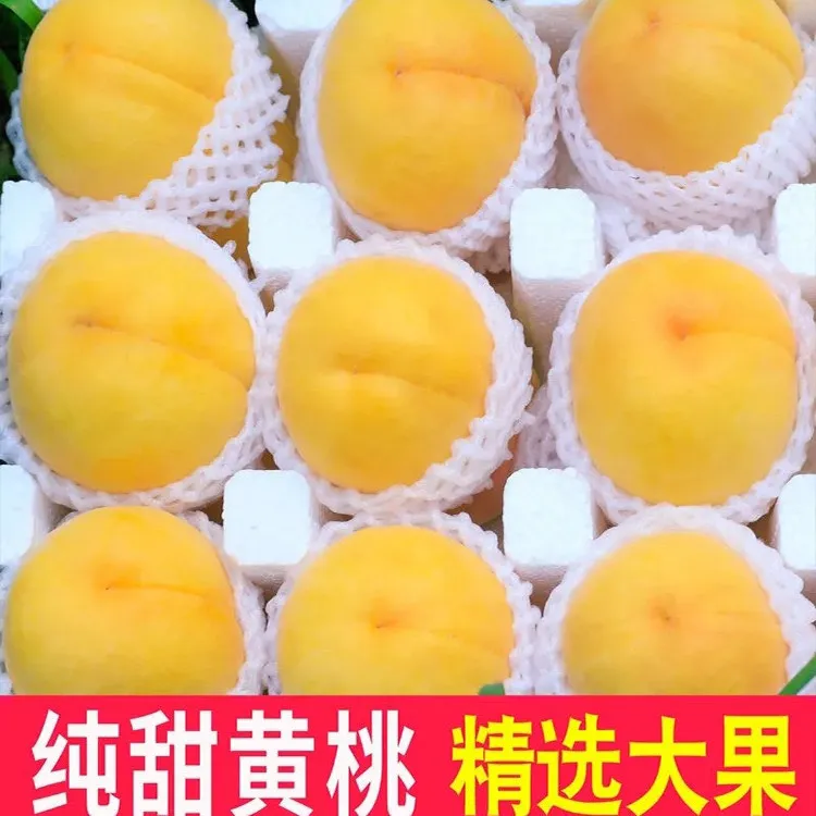 【蒙阴、黄桃】纯甜无酸果园直达