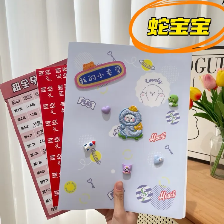 【启萌 】孕检册蛇宝龙宝孕妈妈产检收纳本插入便携资料册防水文件 