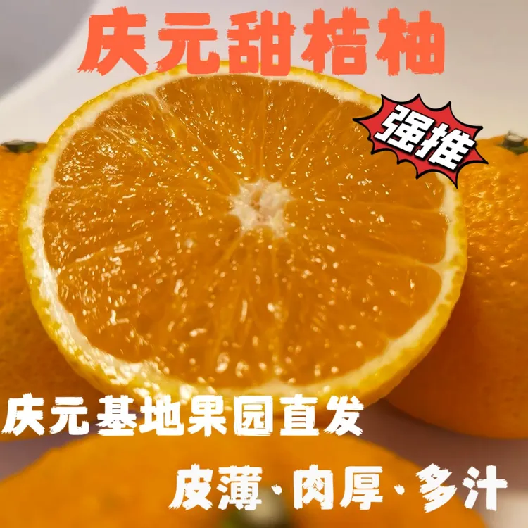 【5斤尝鲜价】正宗庆元甜桔柚甜橘柚香甜多汁精品装礼盒装果园直发