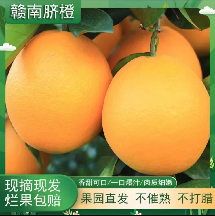 正宗赣南脐橙应季水果新鲜橙子产地直发好吃大果现摘送礼采摘健康
