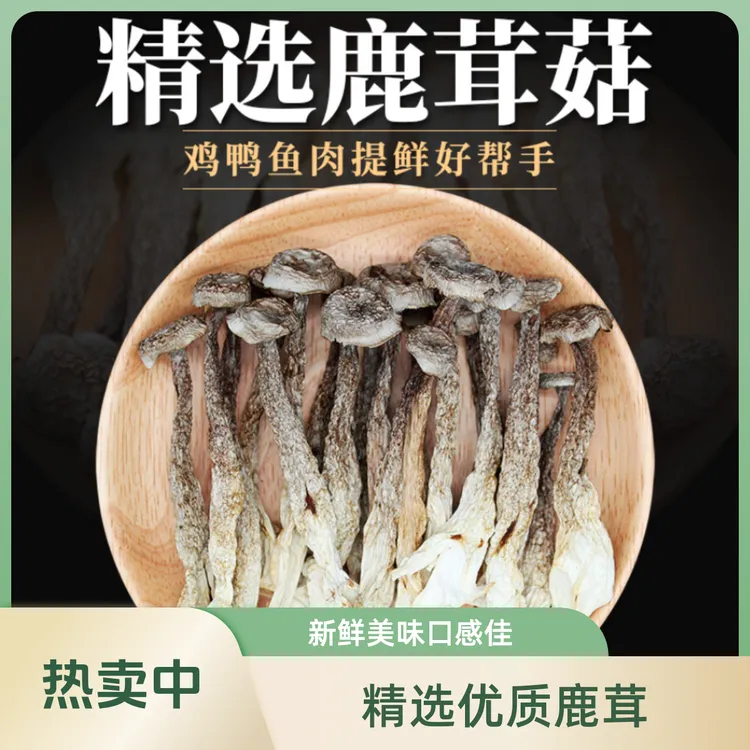 中芮精选【鹿茸菇】脆脆菇新鲜高品质食用口感脆爽鲜香浓郁农产品