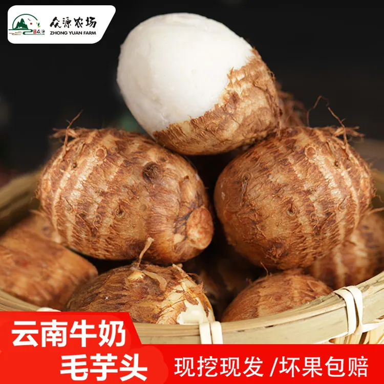 【软糯香甜】云南牛奶毛芋头10斤5斤3斤新鲜小芋艿高原蔬菜农家特产