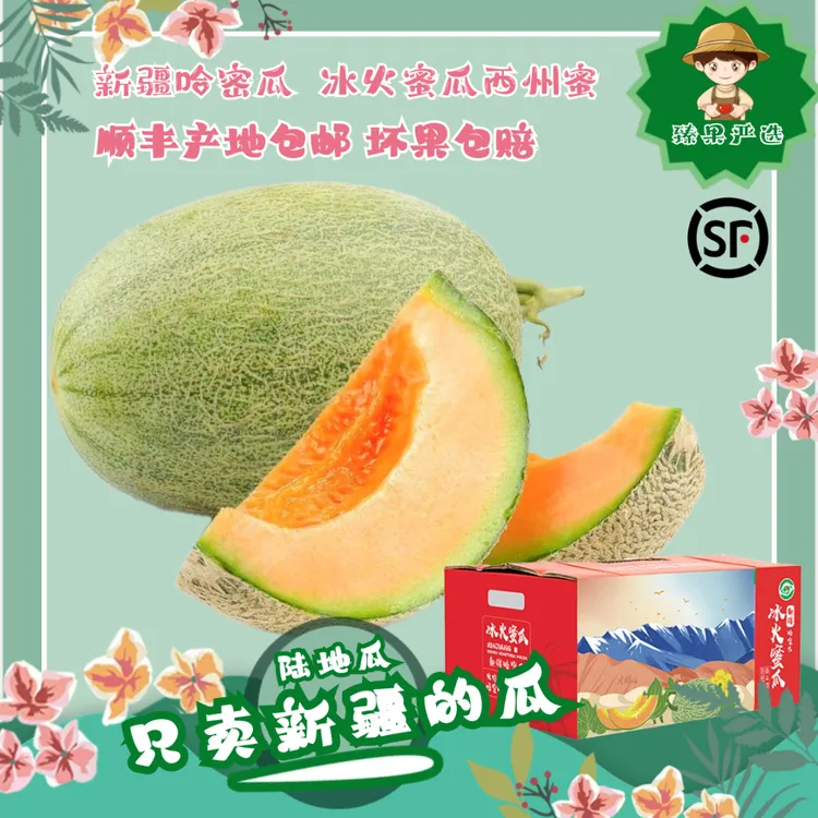 【顺丰包邮】哈蜜瓜冰火蜜瓜新疆西州蜜吐鲁番网纹甜瓜清甜个大直发