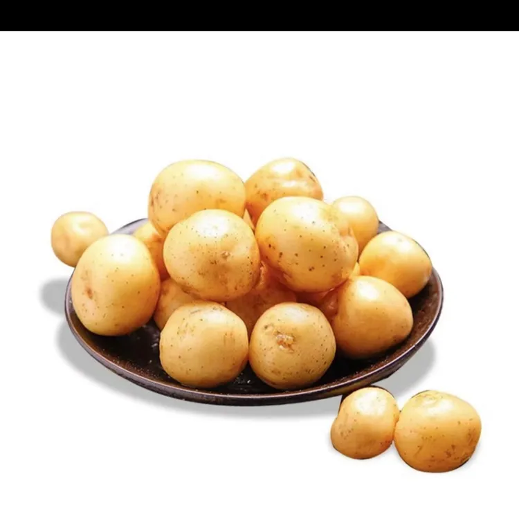 【马尔科】巫溪本地高山土豆