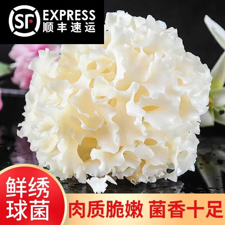 古田特产绣球菌新鲜绣球菇食用菌菇凉拌煲汤火锅酒店食材蘑菇
