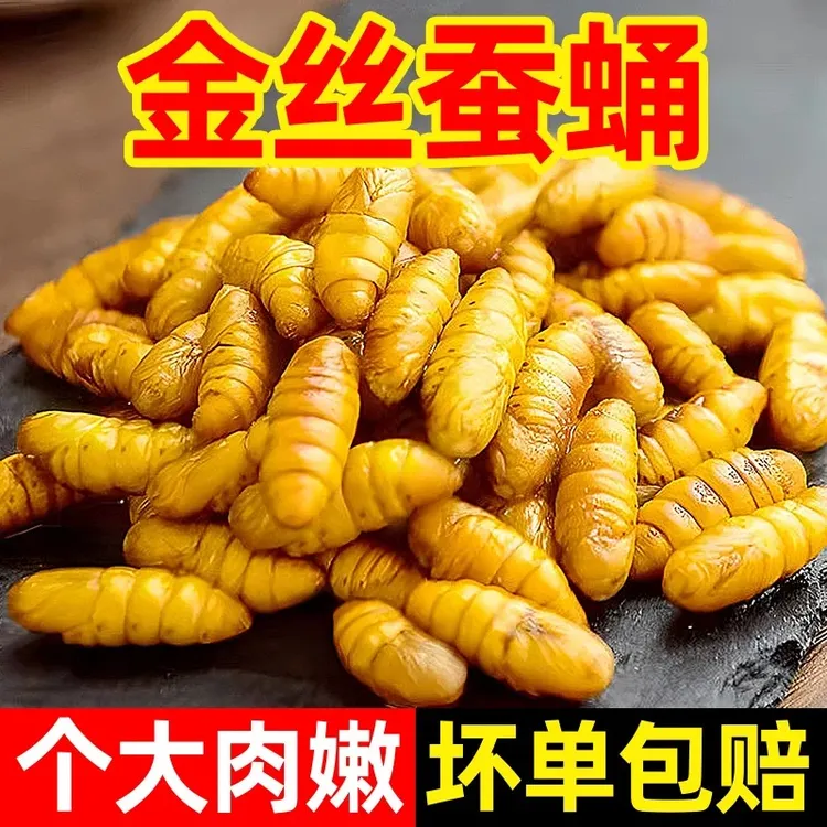 【山东特产】新鲜蚕蛹 金丝蛹 黄金蛹小黄蛹食用茧蛹高蛋白金丝蚕蛹