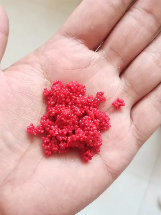 群主爆护蜜香酒米5瓶