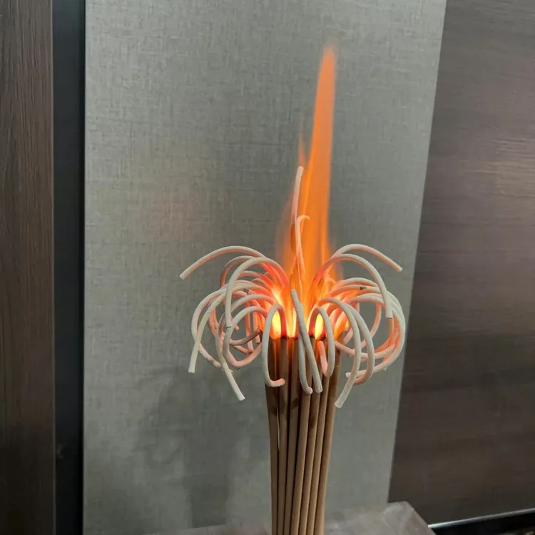 (拍一发二）家用油柏大火焰莲花香到手二十把 一把37根