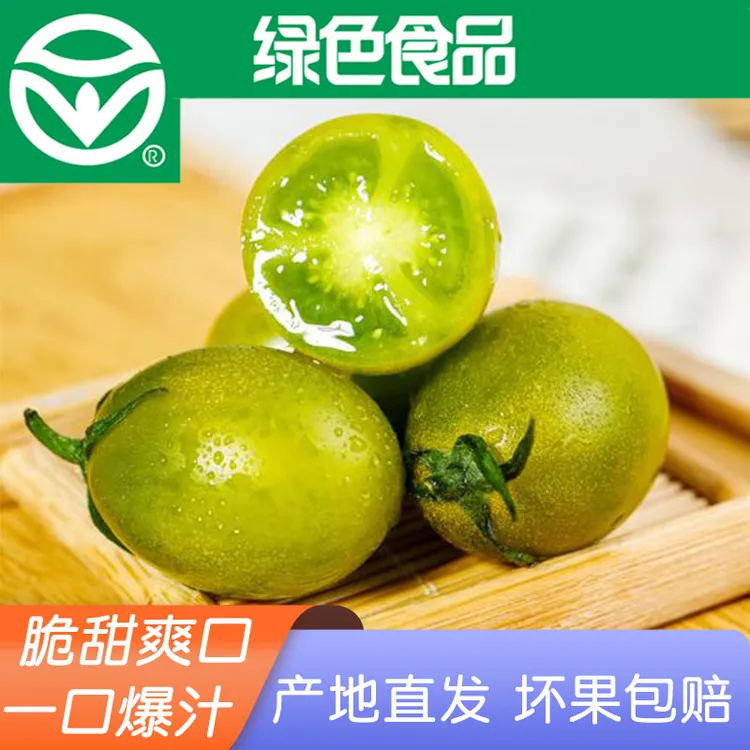 青口蜜小番茄精选新鲜爽口采摘青色柿子绿色小番茄番茄皮薄多汁甜