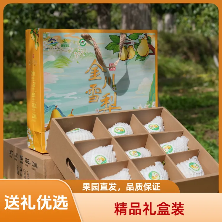 【精品金川雪梨礼盒装】正宗高原新鲜水果当季现摘香酥脆甜产地直发