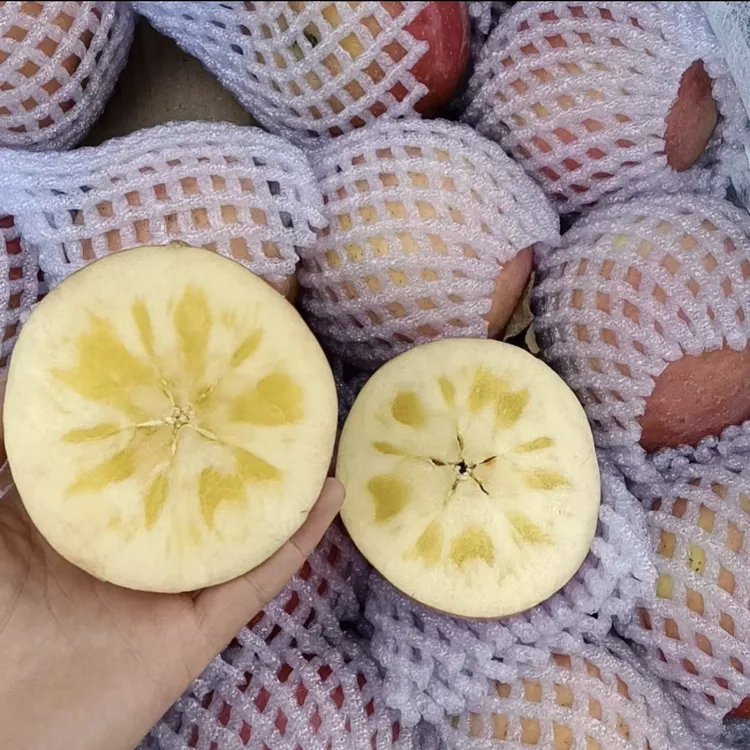 【坏果包赔】新疆阿克苏冰糖心苹果现摘现发