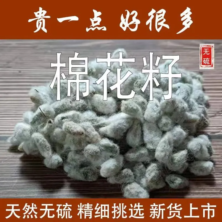 中药材精选正品棉花籽优质棉花子新货棉花核干净无杂药用棉花籽