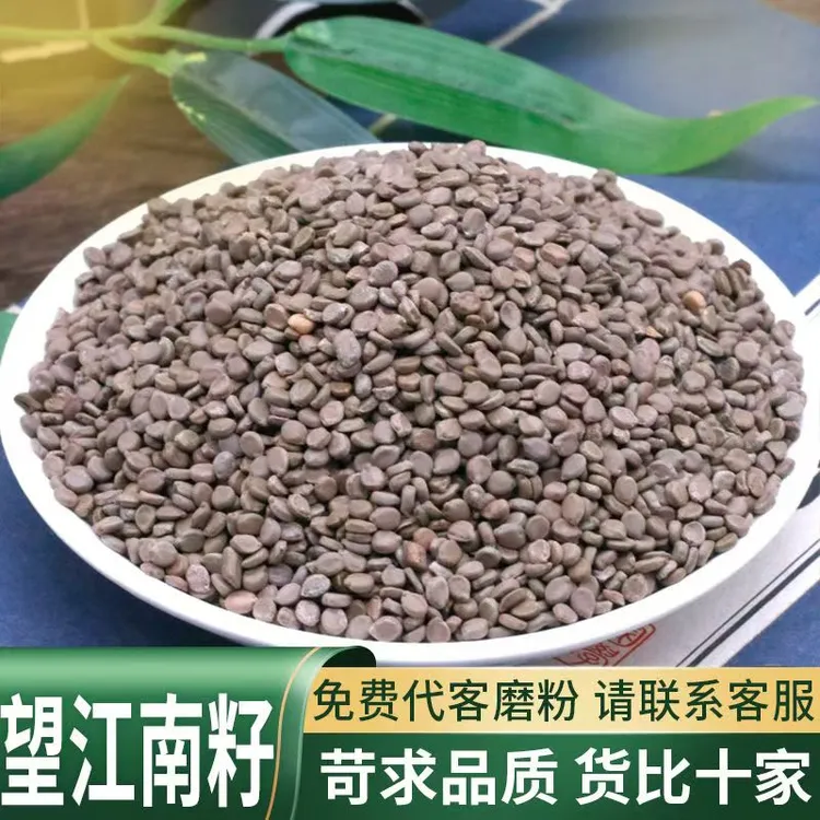 望江南中药材伸筋豆 新货野生望江南籽羊角豆 望江南豆正品保证