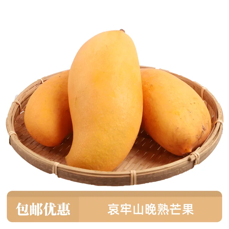 云南芒果上市新鲜现摘镇沅景东晚熟芒果哀牢山应季水果甜包邮