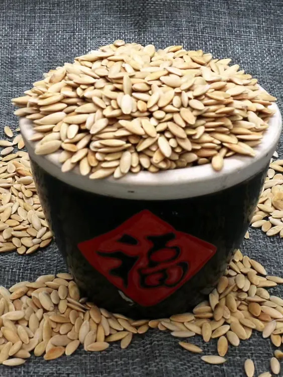 东北旱黄瓜籽 食用黄瓜籽