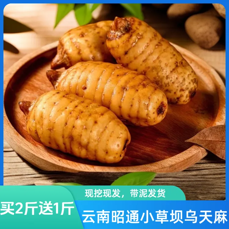 云南小草坝新鲜天麻【买2斤送1斤】带泥发货绿色营养农产品健康煲汤