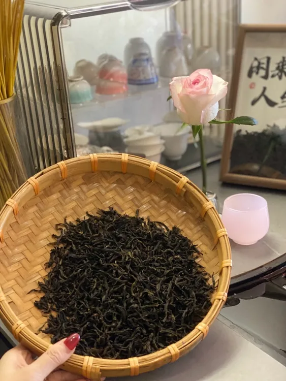 2025年新茶凤凰单丛茶鸭屎香广东乌龙茶潮州凤凰山产区茶叶
