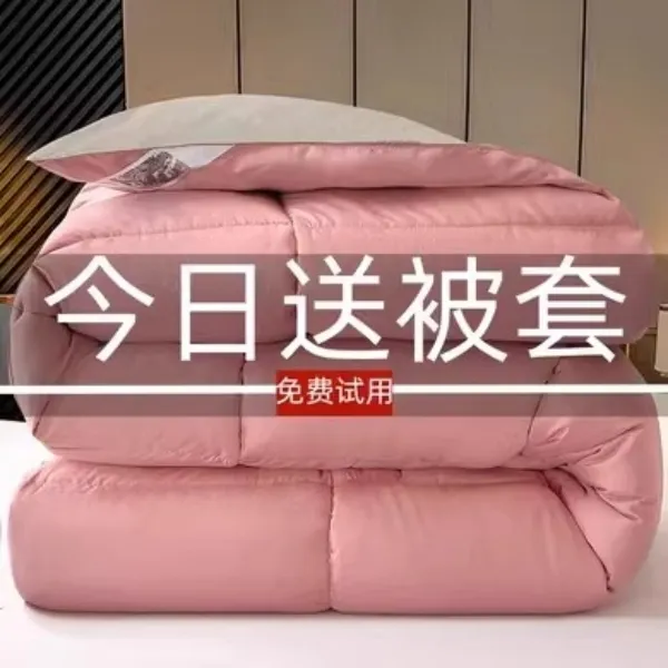 出口五星级酒店羽绒被95白鹅绒被子冬被棉被芯春秋被双人加厚保暖