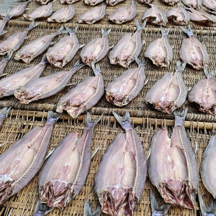 风干大白刁