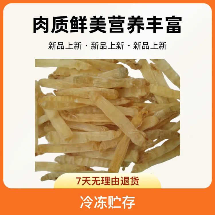 沙虫干北海特产野生无沙沙虫金黄营养天然晾晒肉质味道美味