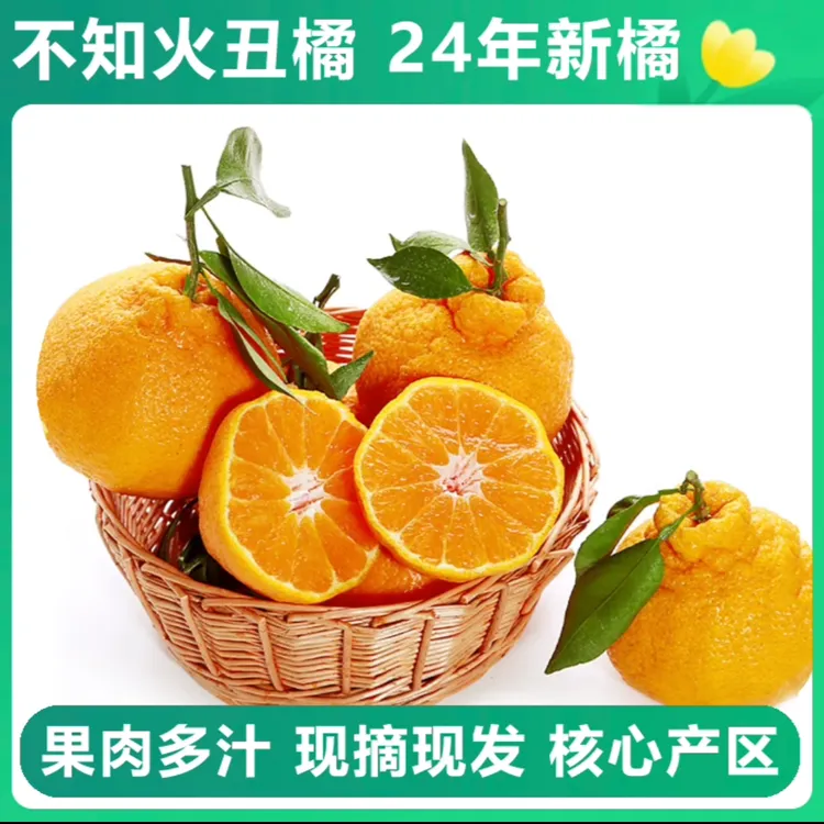 晓橘很忙四川正宗丑橘不知火丑八怪皮薄多汁肉脆优质新鲜应季水果