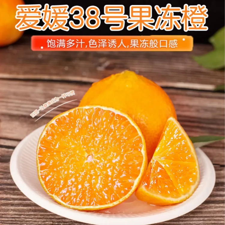 四川正宗爱媛果冻橙38号酸甜可口现摘现发新鲜产地直发孕妇水果