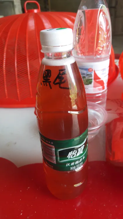 马蜂，黑尾诱蜂氺