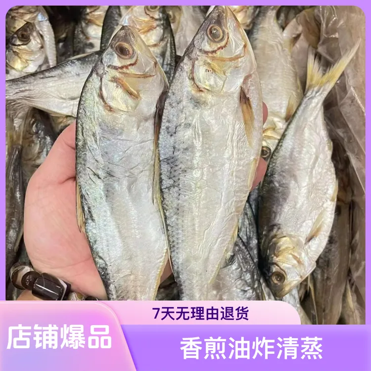 台山 小黄鱼干 香煎油炸清蒸 下饭菜（8成干）