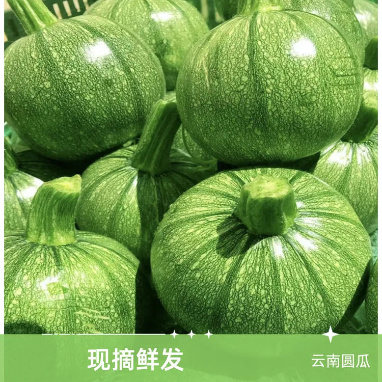 云南嫩南瓜小圆瓜云南小瓜蘸水菜小嫩瓜清甜小南瓜当季新鲜蔬菜