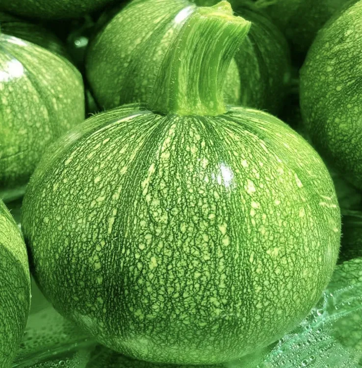 云南嫩南瓜蘸水菜蘸水菜太好吃了小南瓜云南水煮嫩南瓜