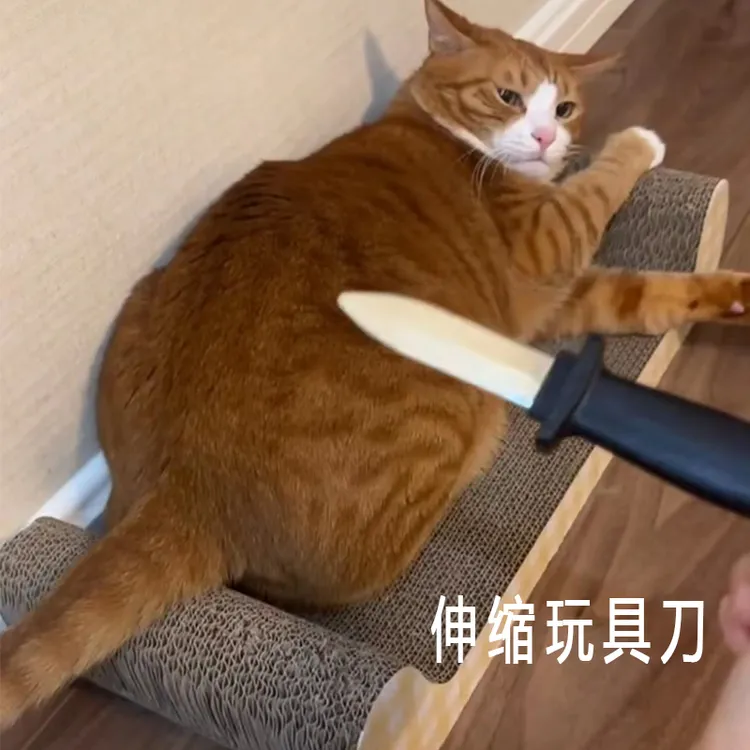 逗猫玩具收缩刀恶搞整人玩具伸缩刺刀假刀玩具表演道具塑料